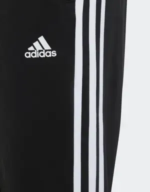 Adidas Chándal Essentials Tiberio 3 bandas
