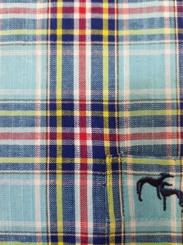 CAMISA DOS GALGOS 4459 CUADRO AZUL