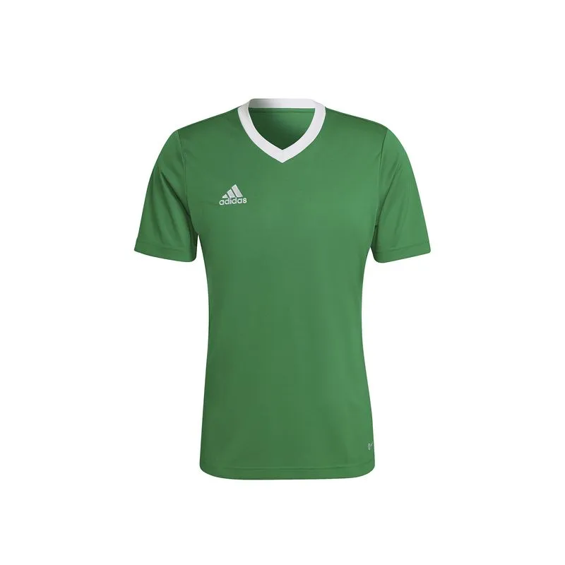 Camiseta Tee Hombre Adidas Performance Ent22 Jsy