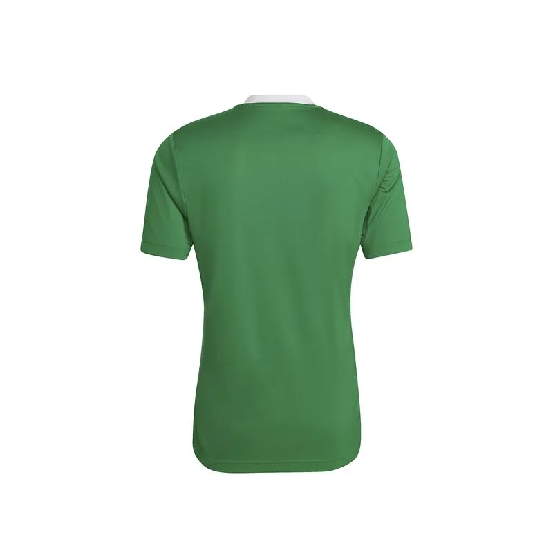 Camiseta Tee Hombre Adidas Performance Ent22 Jsy