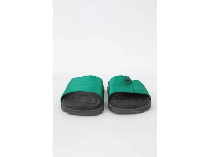Roger Vivier Mulas Verde 