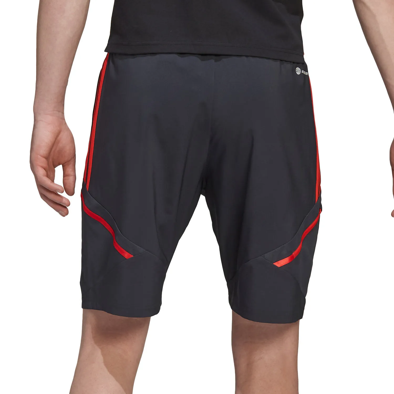 Short adidas Bayern Downtime